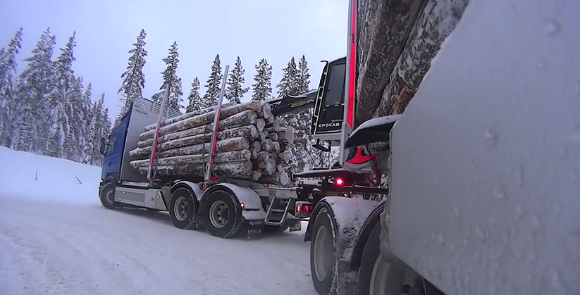 депортация водителей большегрузов